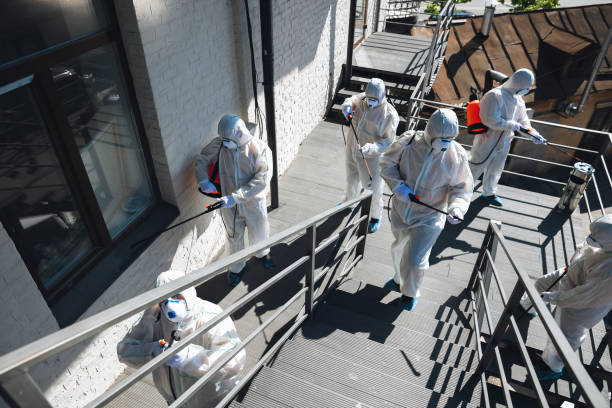 Best HVAC Mold Inspection and Cleaning  in Edneyville, NC