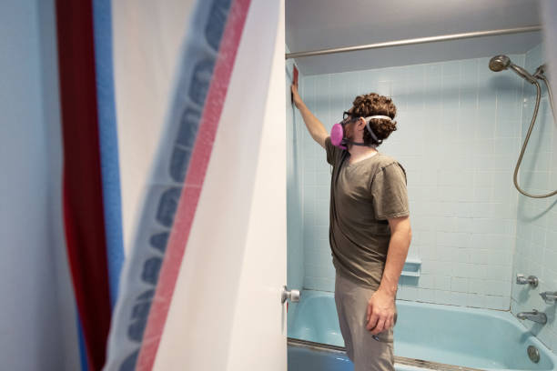 Best Mold Damage Restoration  in Edneyville, NC
