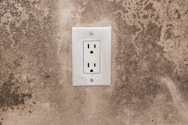 Mold Documentation for Insurance Claims in Edneyville, NC