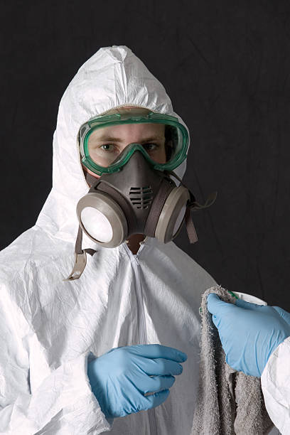 Best Commercial Mold Inspection  in Edneyville, NC